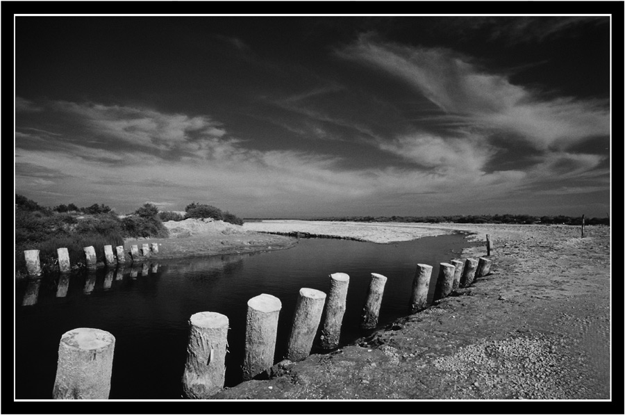 Camargue - encore une fois