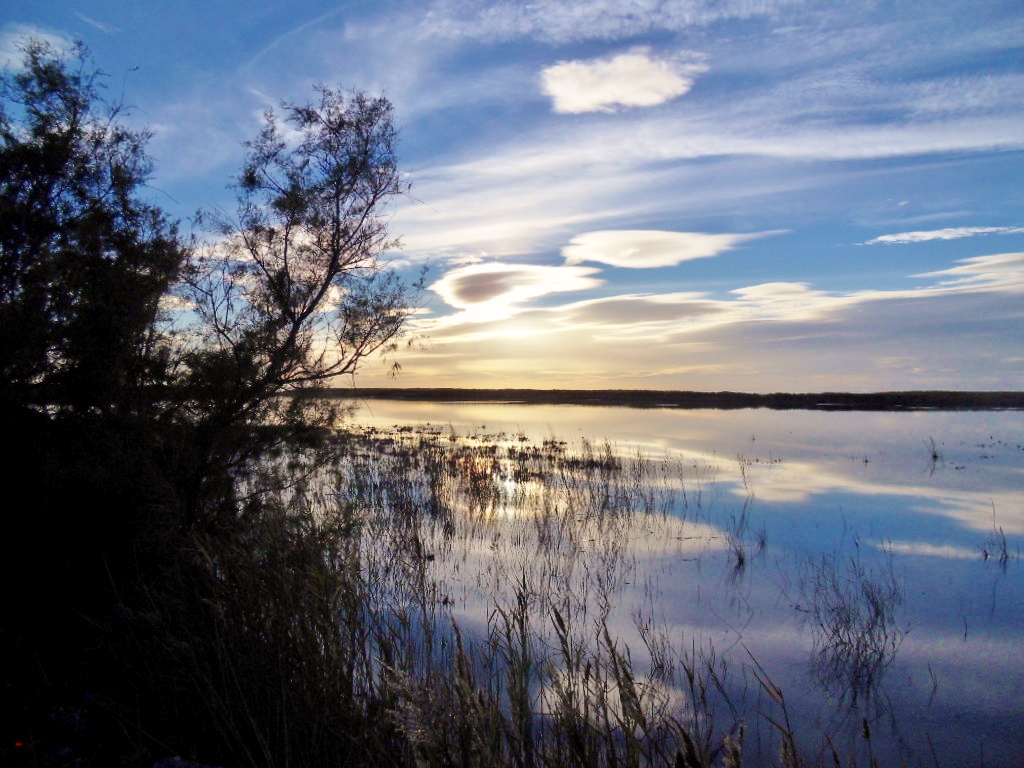 Camargue!