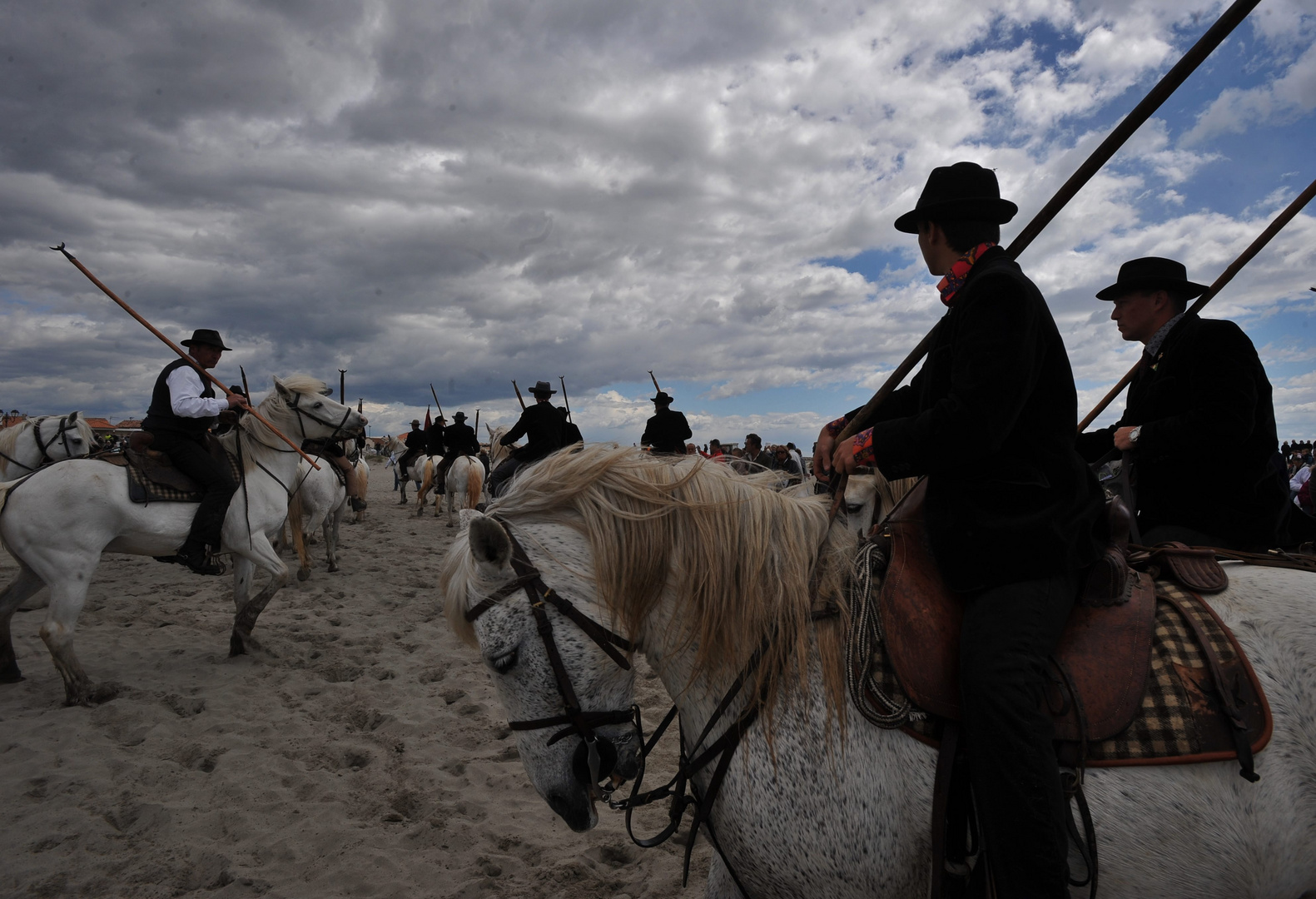 CAMARGUE - FRANCIA