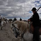 CAMARGUE - FRANCIA