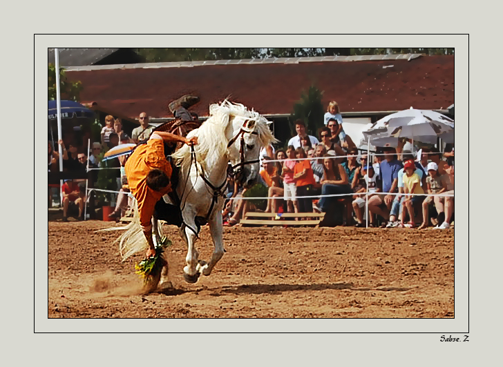 Camargue-Guardian-Reiter