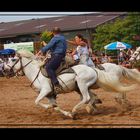 Camargue-Guardian-Reiter...