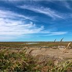 Camargue I