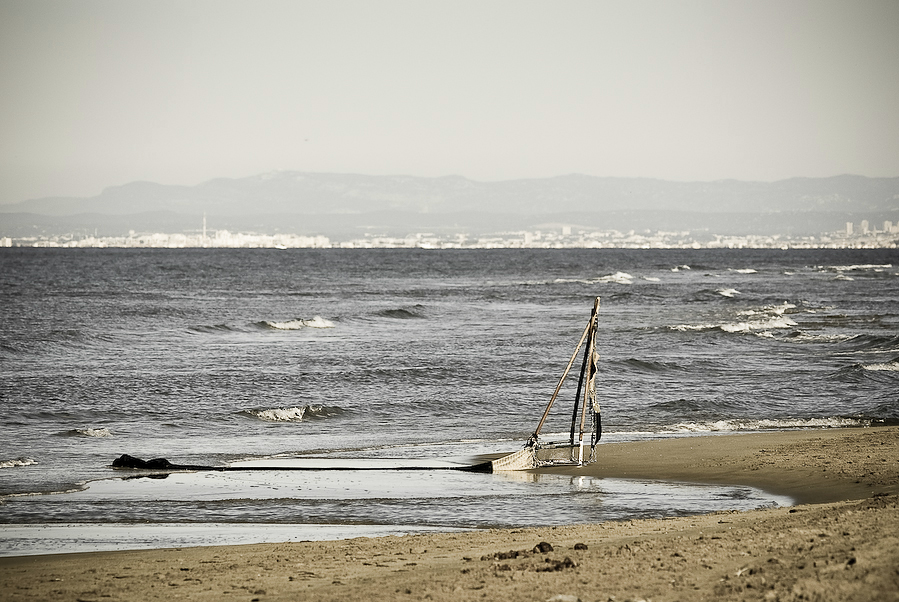 Camargue III