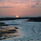 Camargue in Winterstimmung