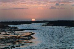 Camargue in Winterstimmung