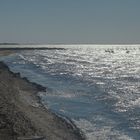 CAMARGUE , LES RIVES DU VACCARES