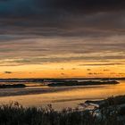 Camargue Pano