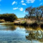 Camargue sauvage