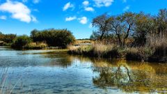 Camargue sauvage