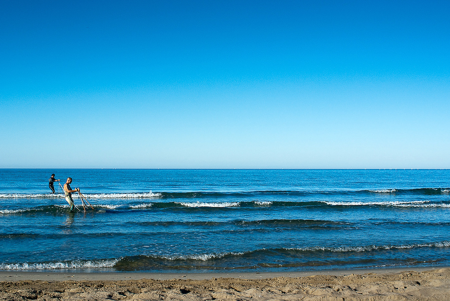 Camargue VI