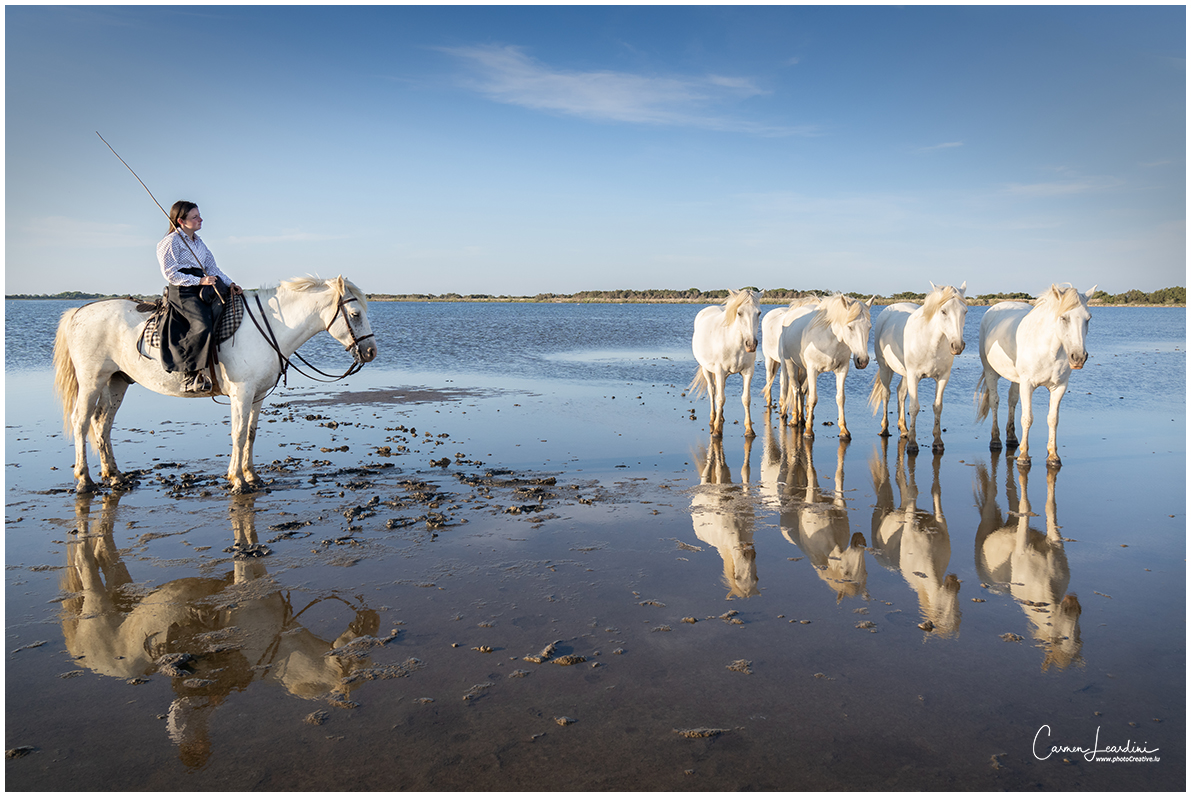 Camargue_2