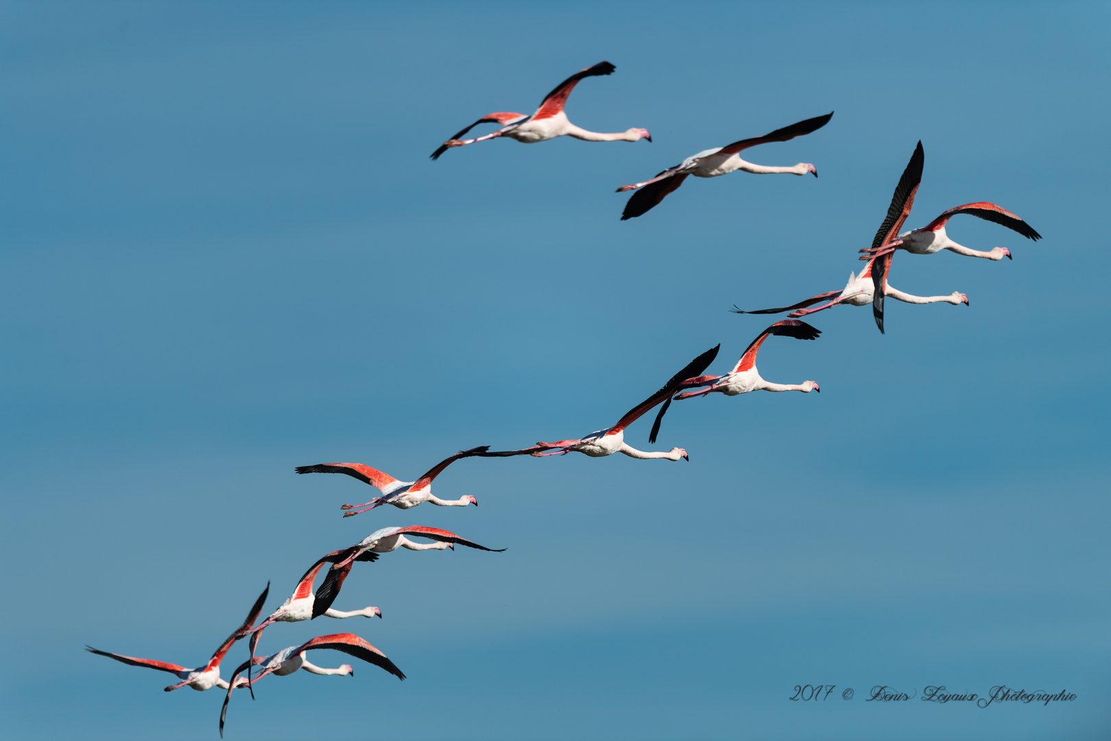 Camargue_2017-10-26-117