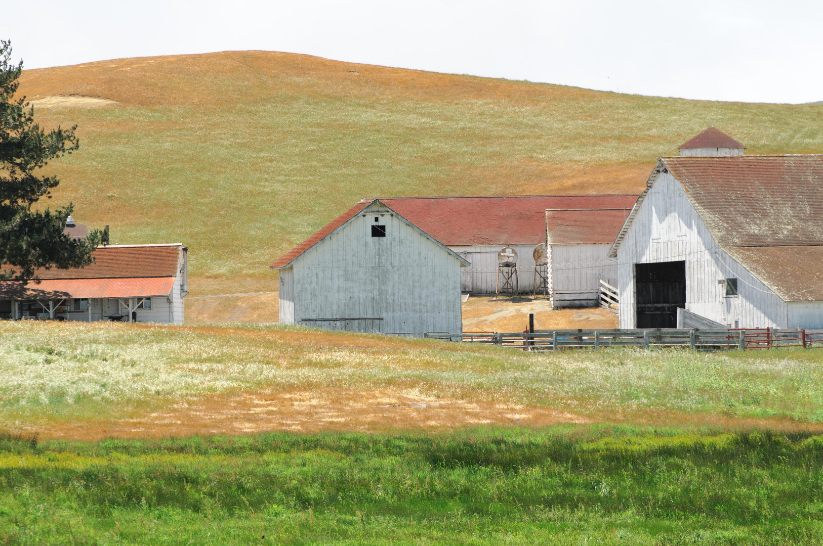 Ca/Marin "Country-Life"