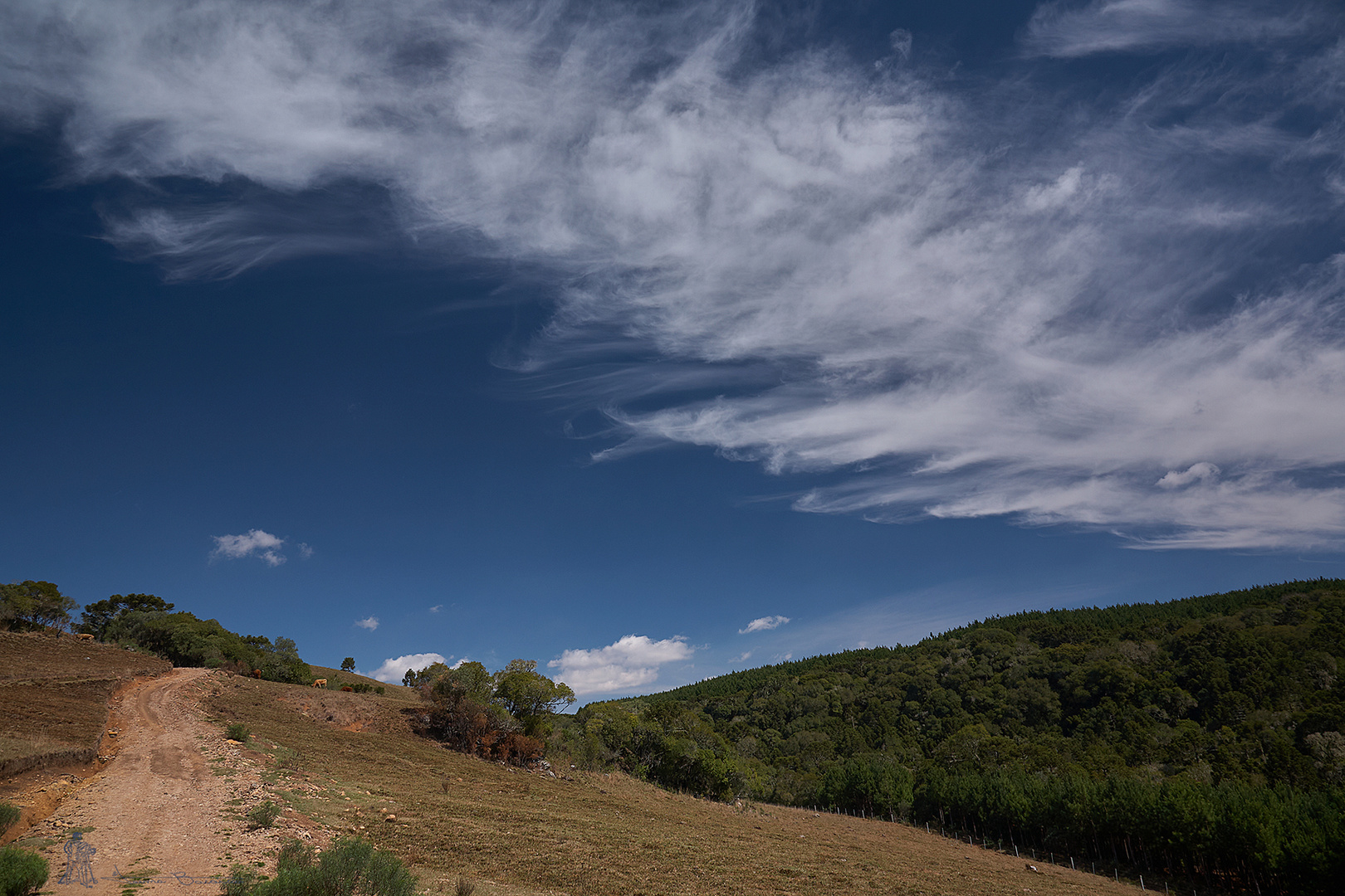 Cambará do Sul