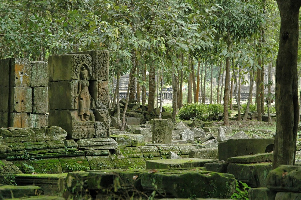 Cambodge 2006 Angkor. Un peu partout des ruine luttent contre la foret