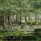 Cambodge 2006 Angkor. Un peu partout des ruine luttent contre la foret