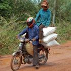 Cambodge 2006 Route de campagne Sacs de riz