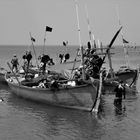 Cambodge , départ de pêche de nuit