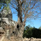 cambodge temple angkor