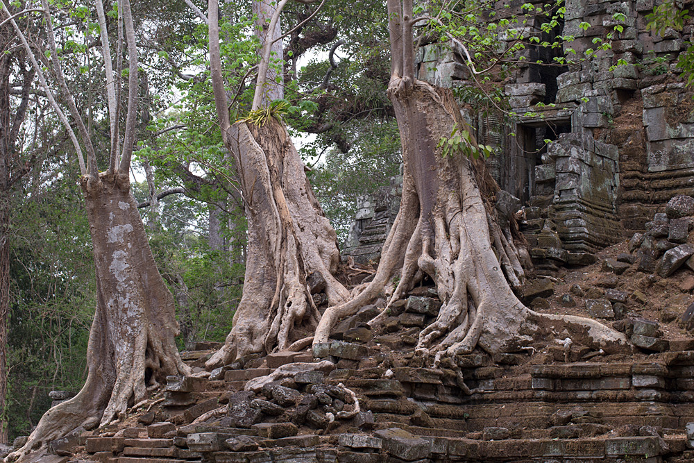 cambodia 38