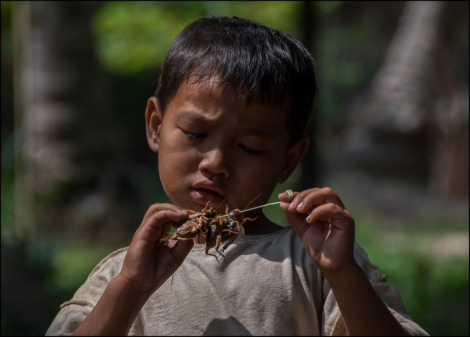 cambodia 5