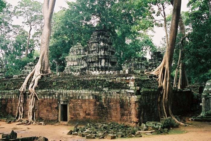 Cambodia Ankor W.
