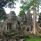 Cambodia, Ankor Wat, Tempel, Temple