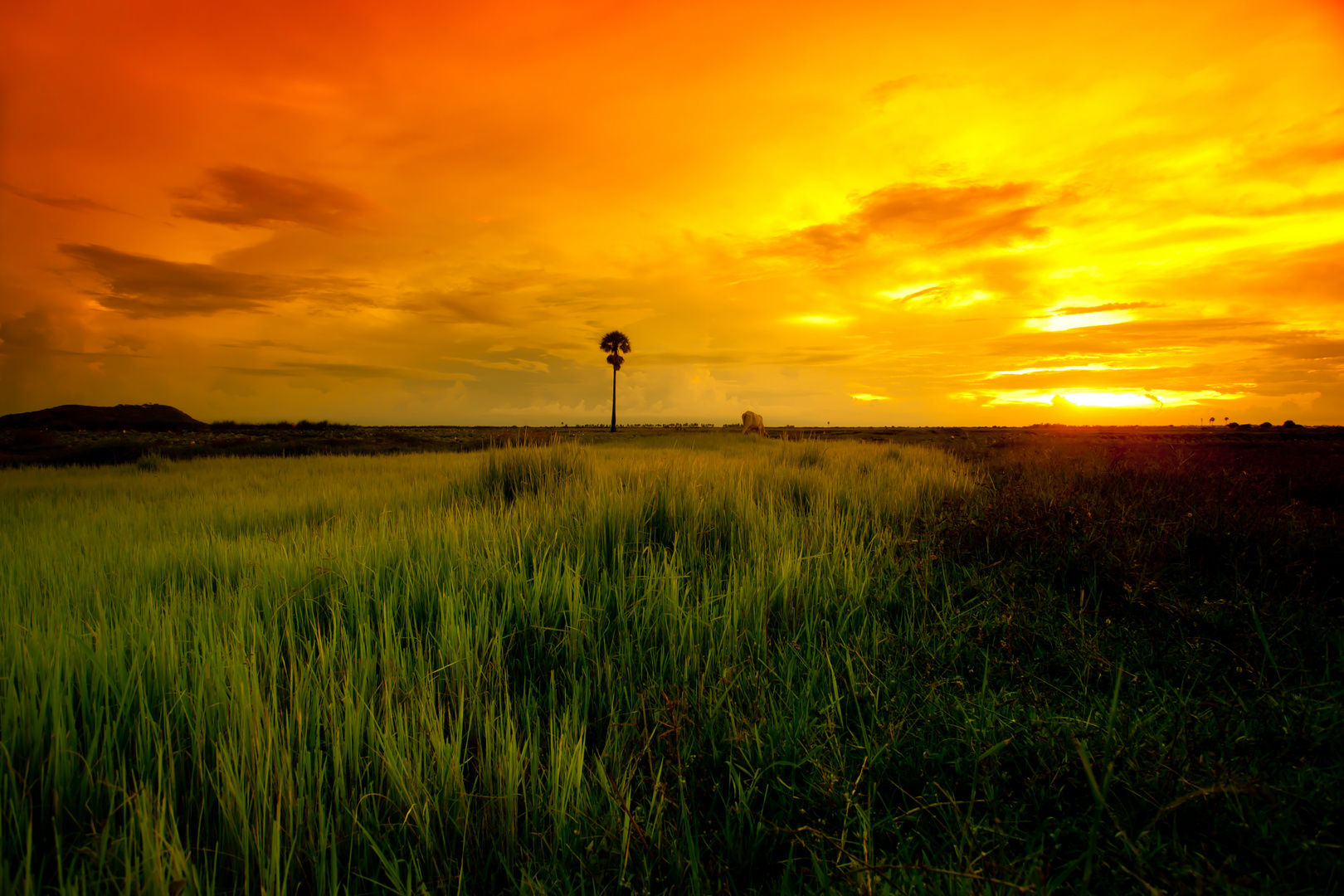 Cambodia is awesome!