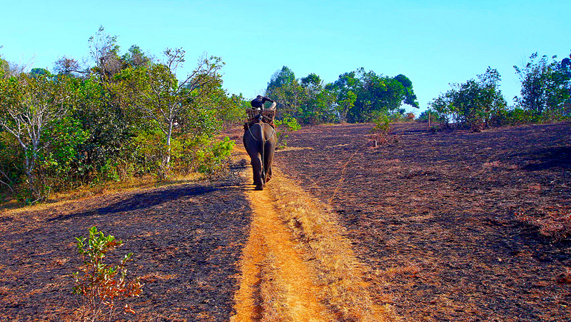 Cambodia - Mondulkiri