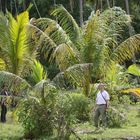 Cambodia nach der Regenzeit