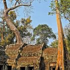 Cambodia, Tha Prohm