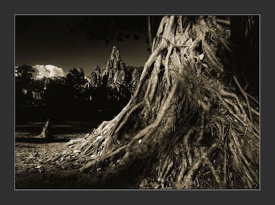 Cambodia/Angkor /Bayon