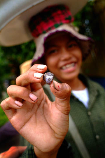 Cambodian Girl selling "LEAS" or shell fish