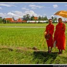 Cambodian monks