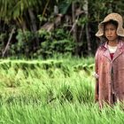 Cambodian Portrait