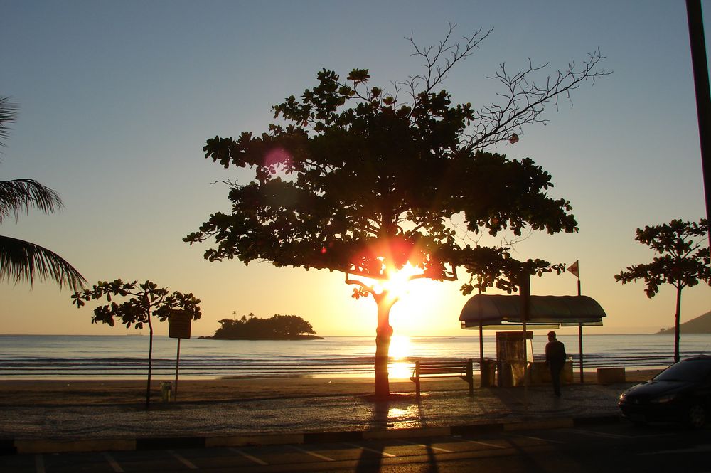 CAMBORIU  EL ARBOLITO DE BETY  - BRASIL