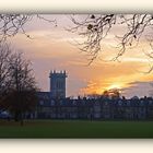 Cambridge  -  Clocher de la chapelle du St-John’s College et ses 50 mètres 