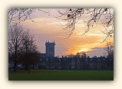 Cambridge  -  Clocher de la chapelle du St-John’s College et ses 50 mètres 