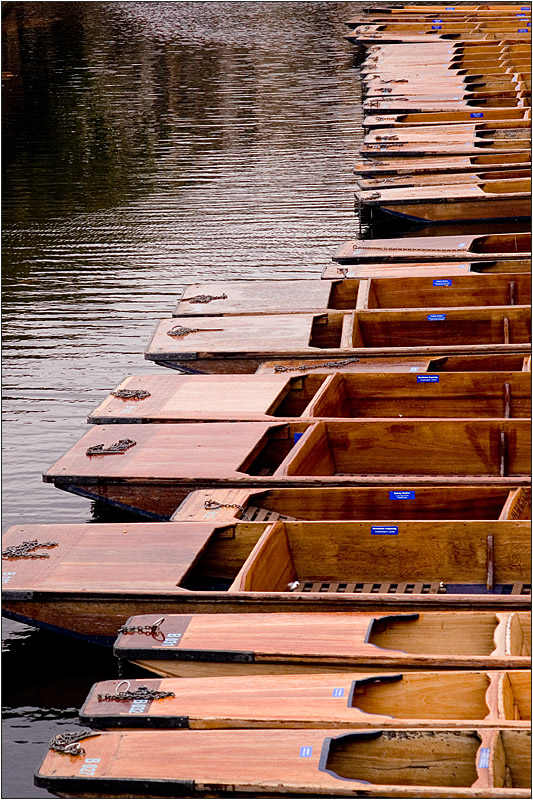 Cambridge punting (1)