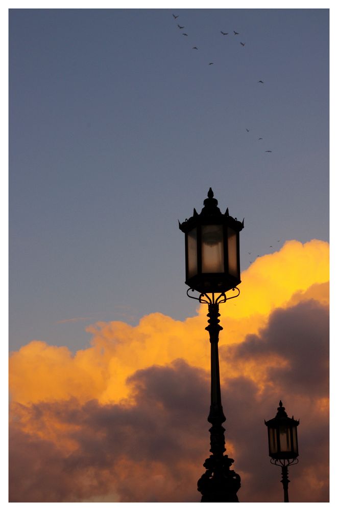 Camden Market II