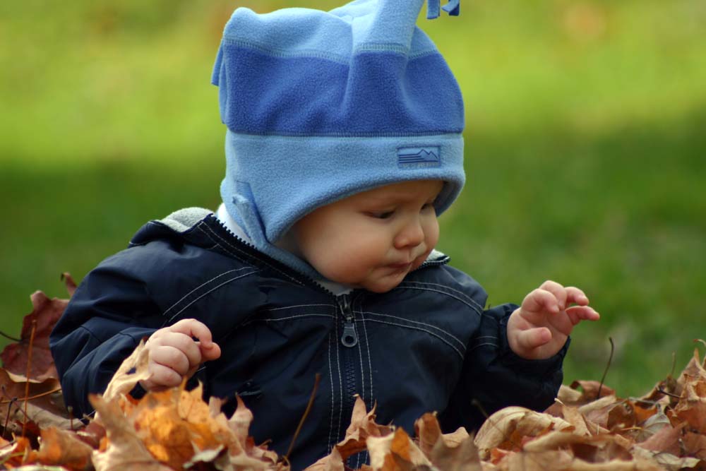 Camden's First Fall