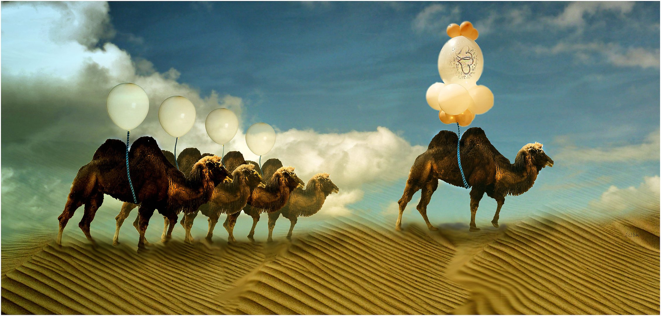 Camel Flight 