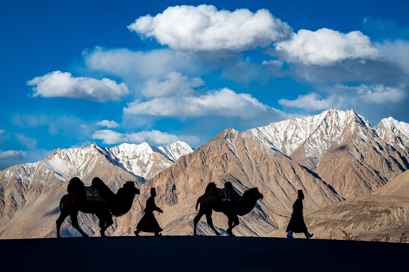 Camel Herders in Nubra Valley