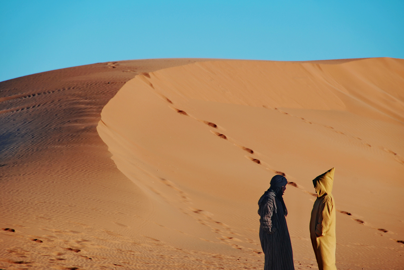 Camel herders in the Sahara