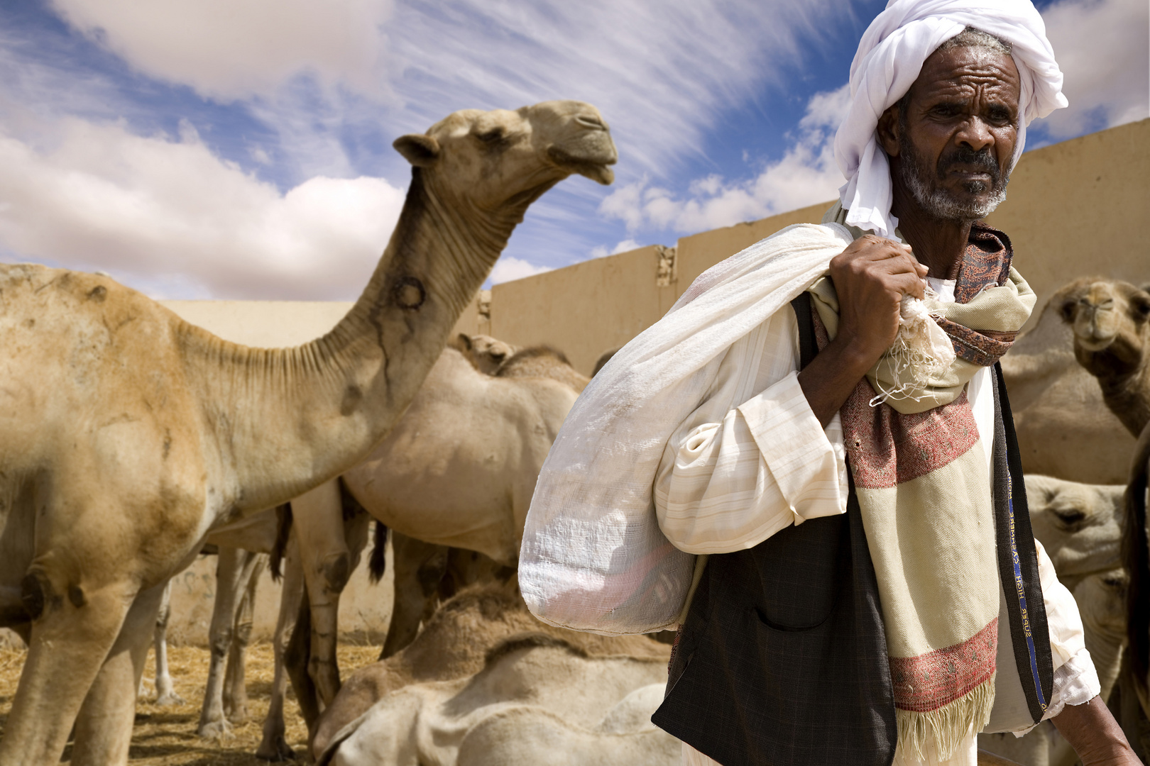 Camel market