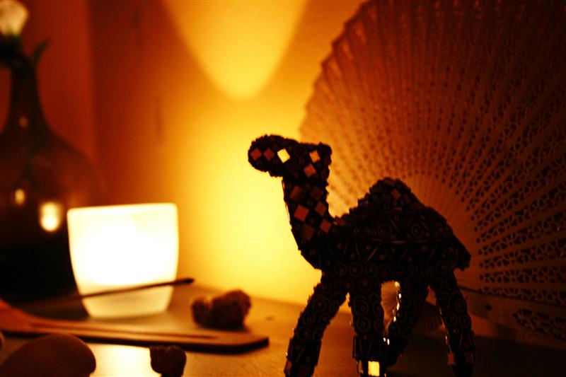 Camel on a shelf.