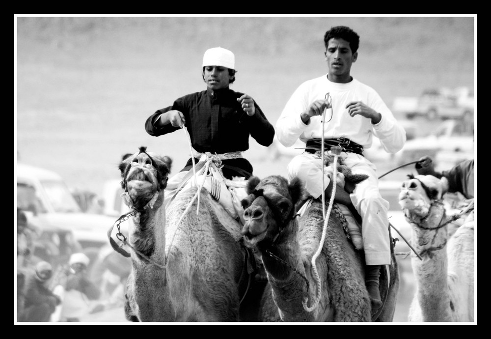 Camel Race