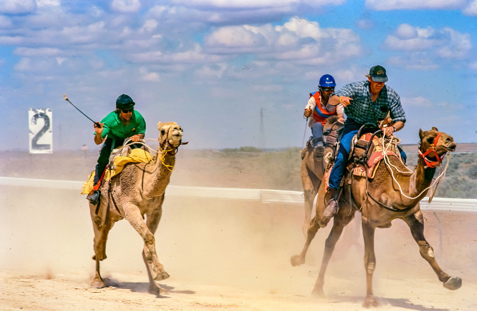 Camel Racing