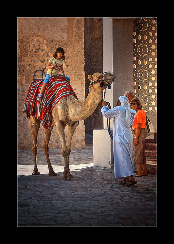 Camel Ride